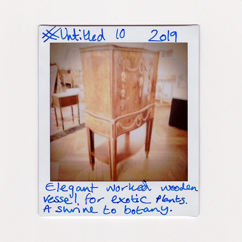 © Joanne  Howell - The Botany Cabinet