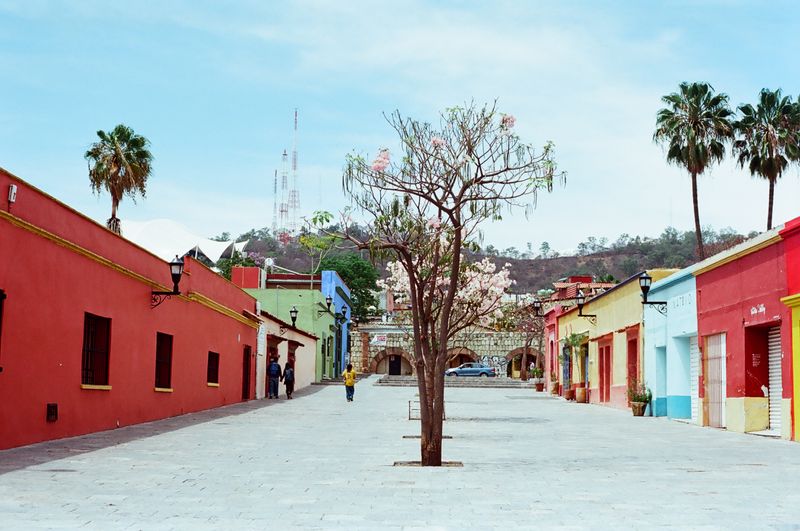 © Elena  Siretanu - Image from the Faces of Mexico  photography project