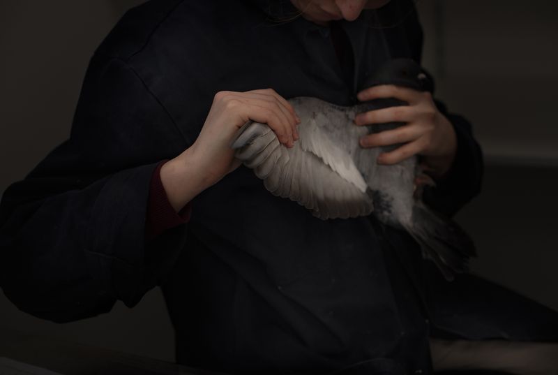 © Aurélie Scouarnec - Image from the Feræ photography project