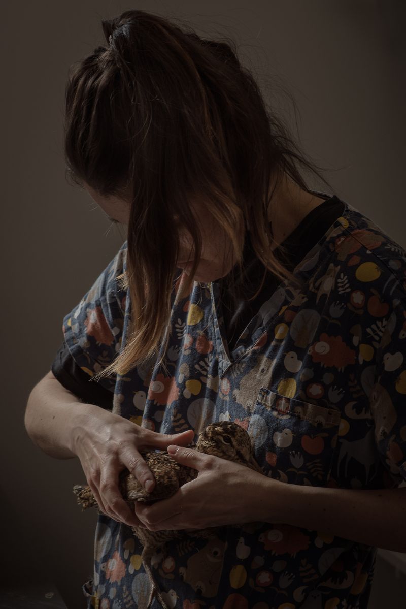 © Aurélie Scouarnec - Image from the Feræ photography project