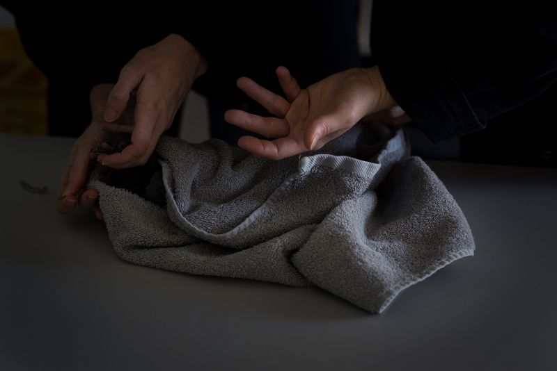 © Aurélie Scouarnec - Image from the Feræ photography project