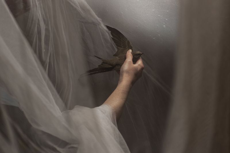 © Aurélie Scouarnec - Image from the Feræ photography project