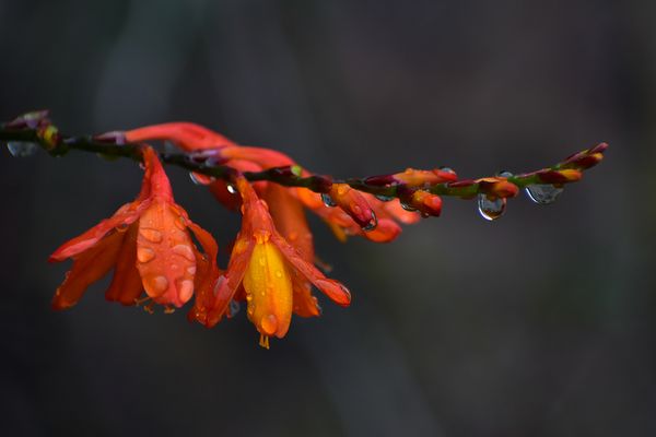 © Ann Petruckevitch - Image from the Eternal photography project