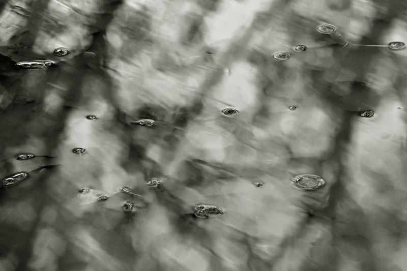 © Ann Petruckevitch - Image from the Eternal photography project