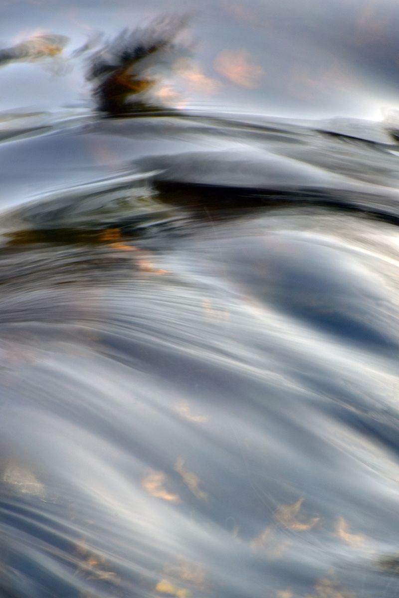 © Ann Petruckevitch - Image from the Eternal photography project