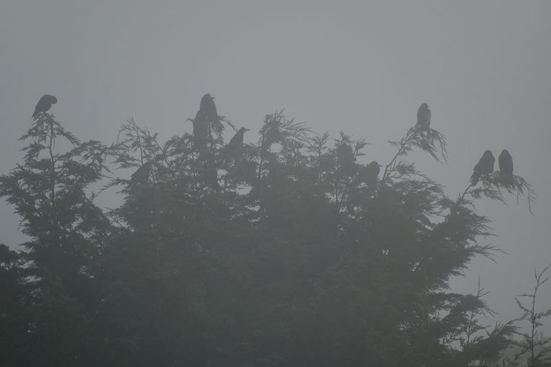 © Ann Petruckevitch - Image from the Eternal photography project