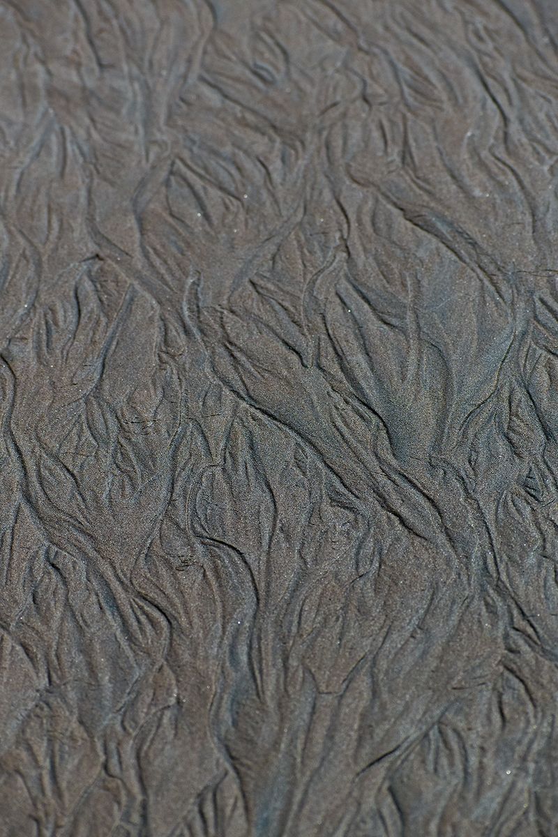 © Ann Petruckevitch - Image from the Eternal photography project