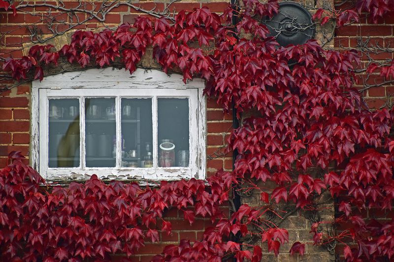 © Ann Petruckevitch - Image from the Eternal photography project