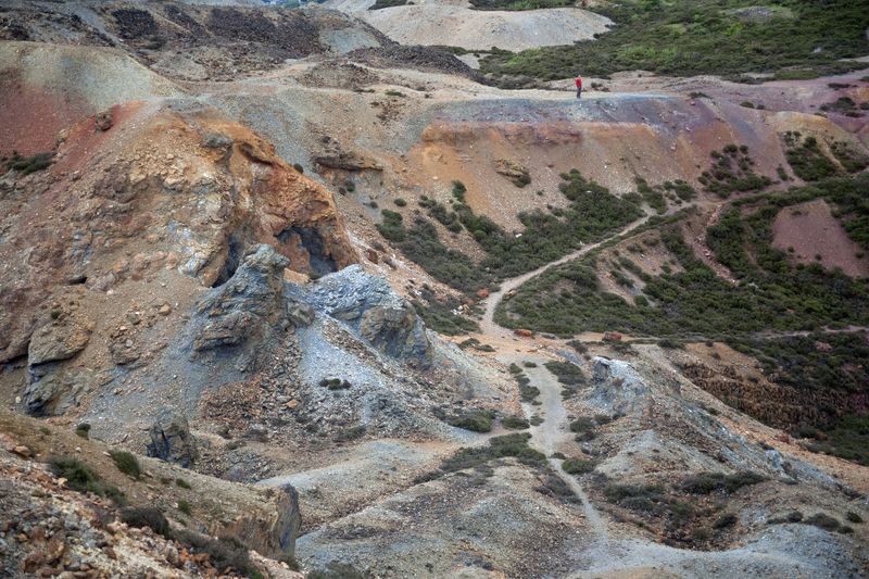 © Ann Petruckevitch - Illusive