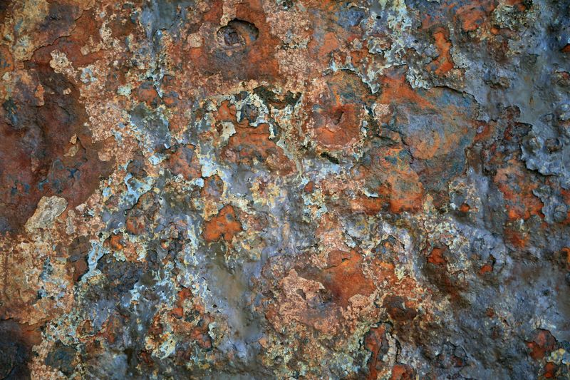 © Ann Petruckevitch - Rust