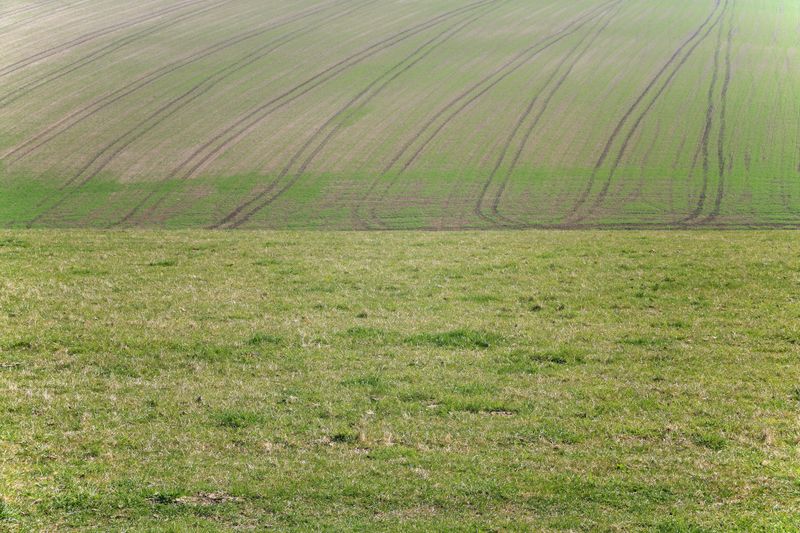 © Ann Petruckevitch - Line