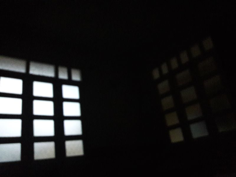 © Ann Petruckevitch - Reflection