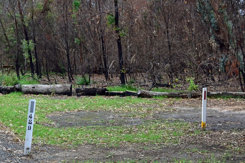 © Ann Petruckevitch - Pitch 489