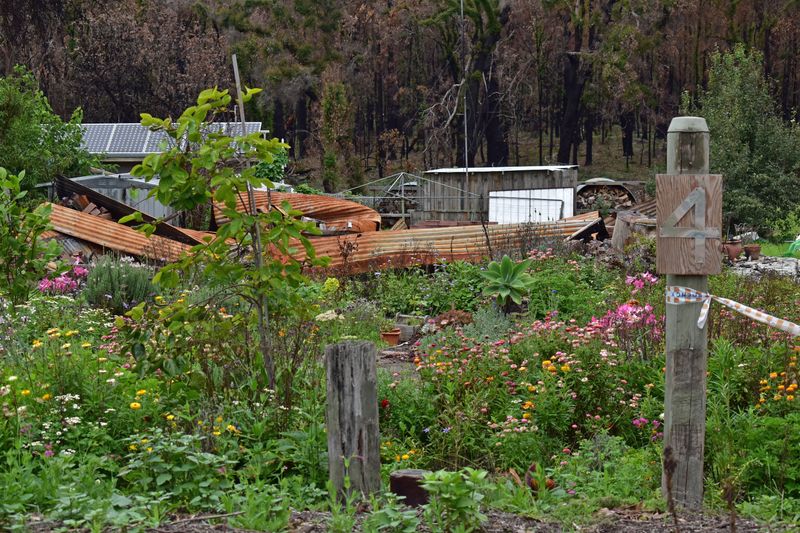 © Ann Petruckevitch - Meadow at No: 4