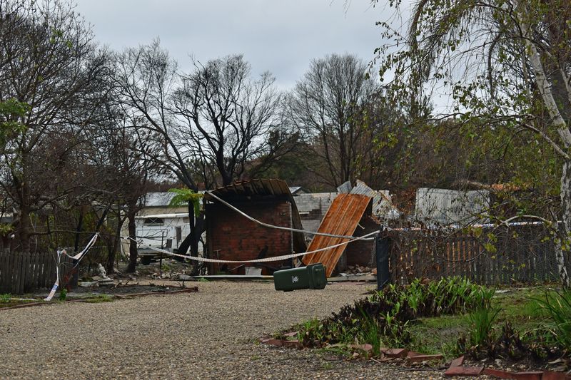 © Ann Petruckevitch - Salvaged