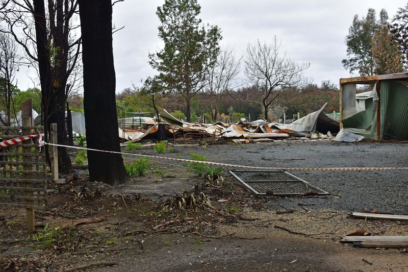 © Ann Petruckevitch - To the ground