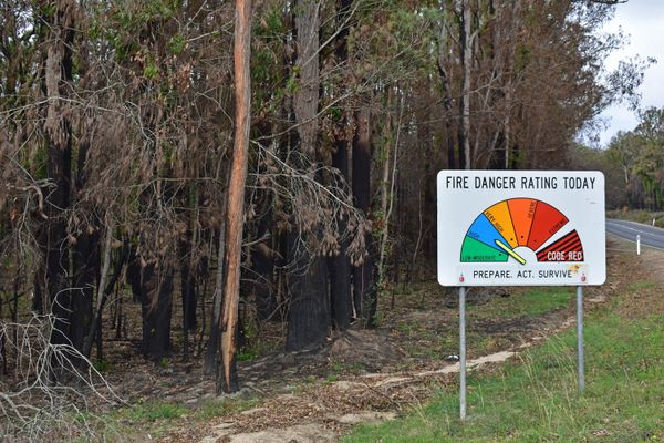 © Ann Petruckevitch - Prepare, Act, Survive