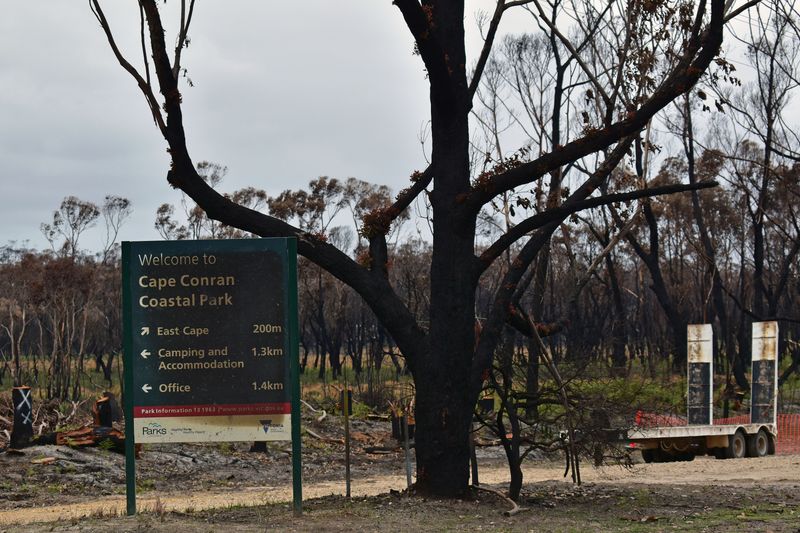 © Ann Petruckevitch - Coastal park