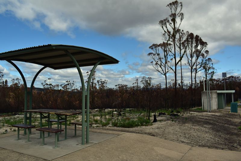 © Ann Petruckevitch - Rest area