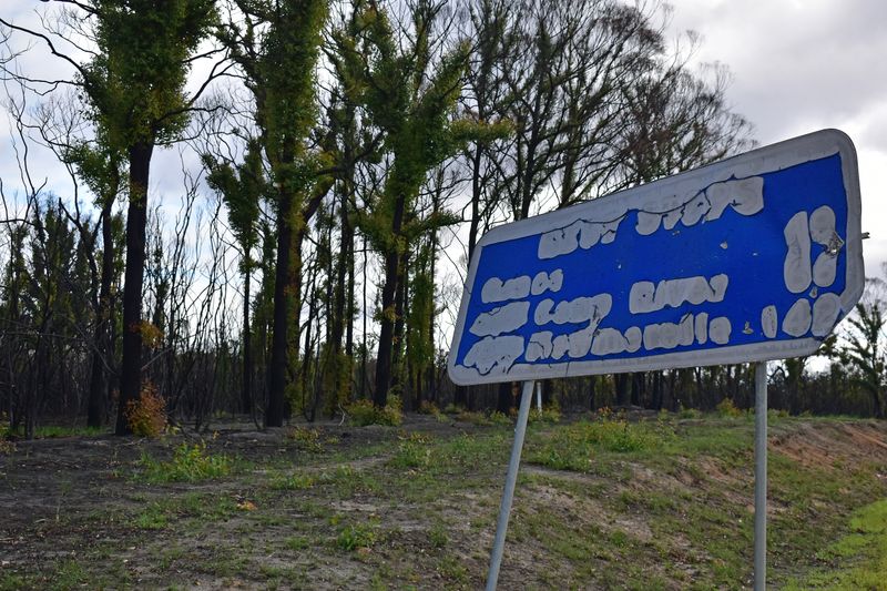 © Ann Petruckevitch - Where to and how far?