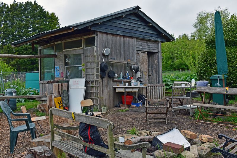 © Ann Petruckevitch - Fork and Dig It