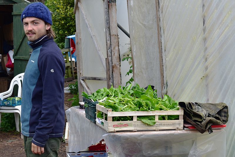 © Ann Petruckevitch - Image from the Fork and Dig It photography project