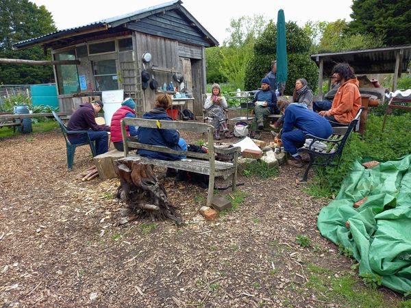 © Ann Petruckevitch - Lunchtime