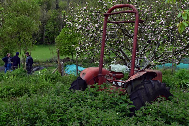 © Ann Petruckevitch - Tractor