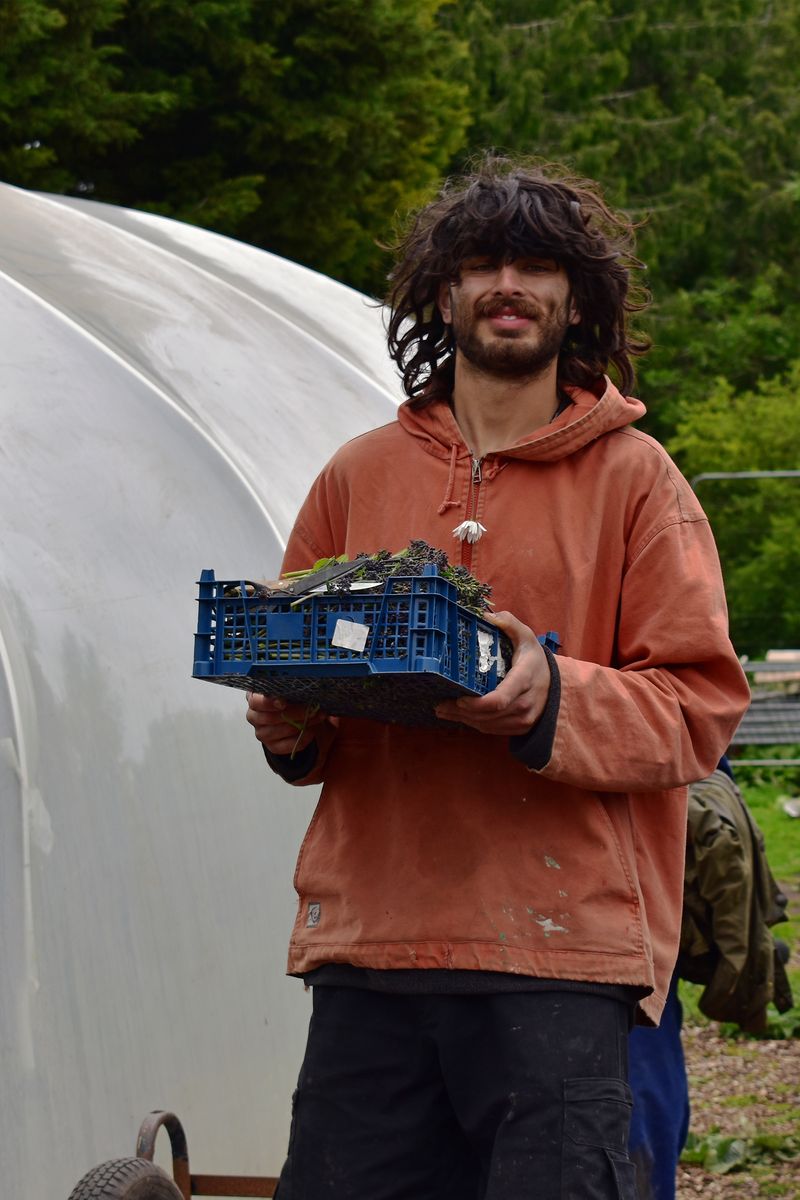 © Ann Petruckevitch - Kamran