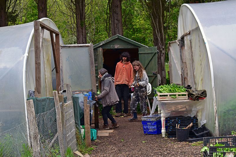 © Ann Petruckevitch - Organising the harvest