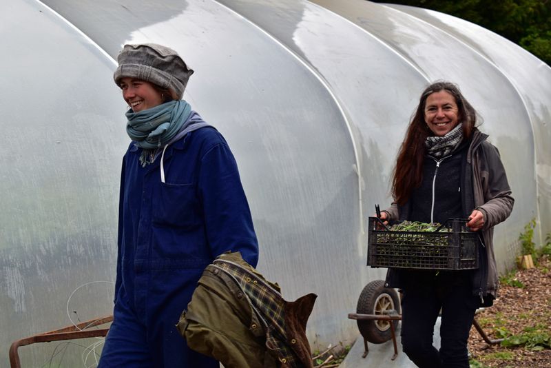 © Ann Petruckevitch - Alice and Cess