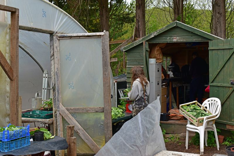 © Ann Petruckevitch - Distribution point