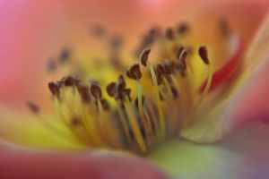 Nature knows no pause....