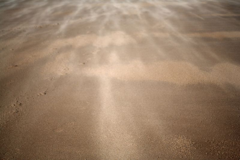 © Ann Petruckevitch - Image from the Textures photography project