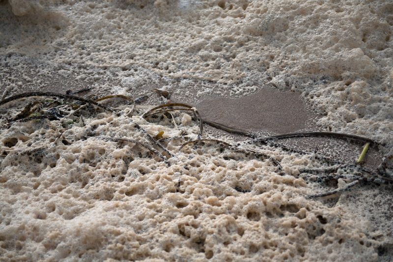 © Ann Petruckevitch - Image from the Textures photography project