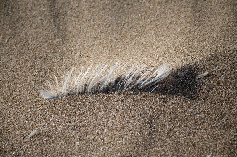 © Ann Petruckevitch - Image from the Textures photography project