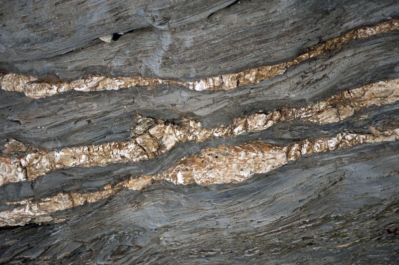 © Ann Petruckevitch - Image from the Textures photography project