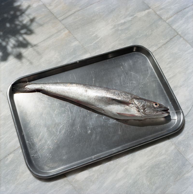 © Ioanna Sakellaraki - Image from the Aidos photography project