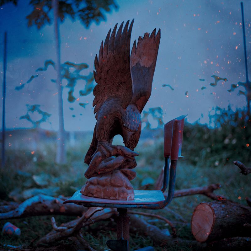 © Ioanna Sakellaraki - Sanford's sea eagle fighting with a snake, Honiara Province, northwestern coast of Guadalcanal, Solomon Islands