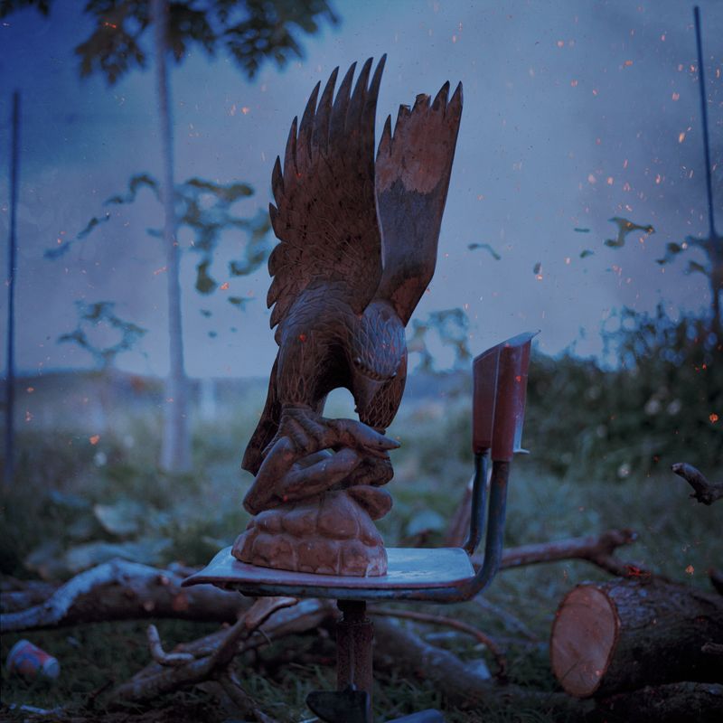© Ioanna Sakellaraki - Sanford's sea eagle fighting with a snake, Honiara Province, northwestern coast of Guadalcanal, Solomon Islands