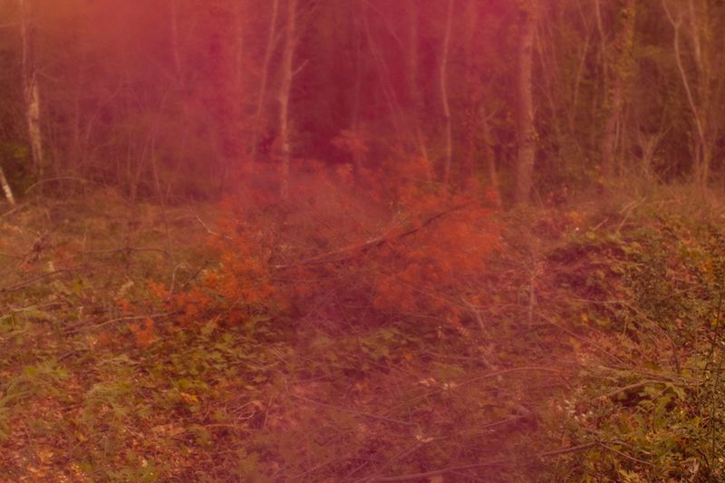 © Chiara Ernandes - Image from the STILL BIRTH photography project