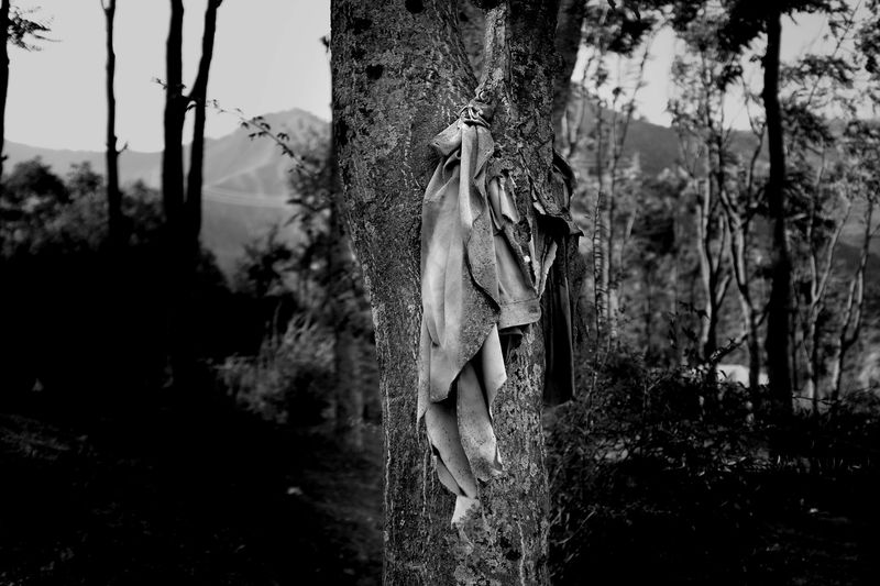 © Showkat Nanda - Image from the the endless wait photography project