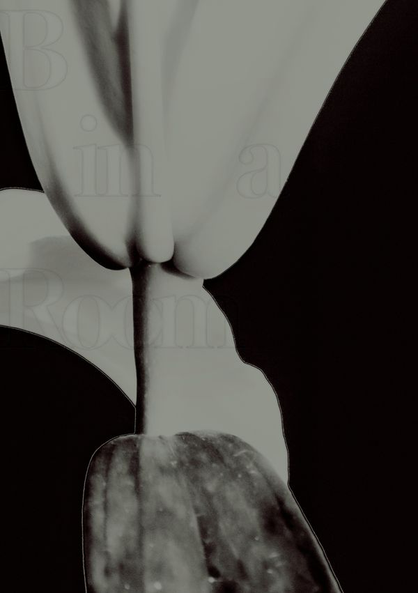 © Inseo Hwang - Image from the B in a Room photography project