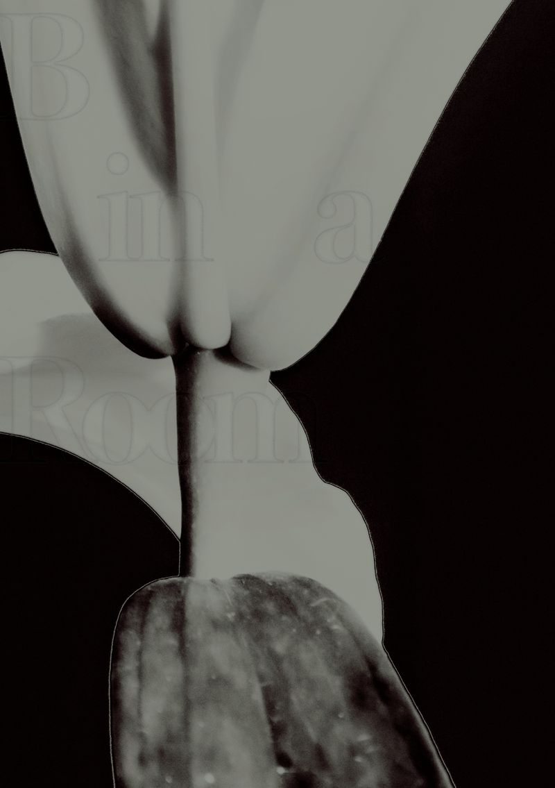 © Inseo Hwang - Image from the B in a Room photography project