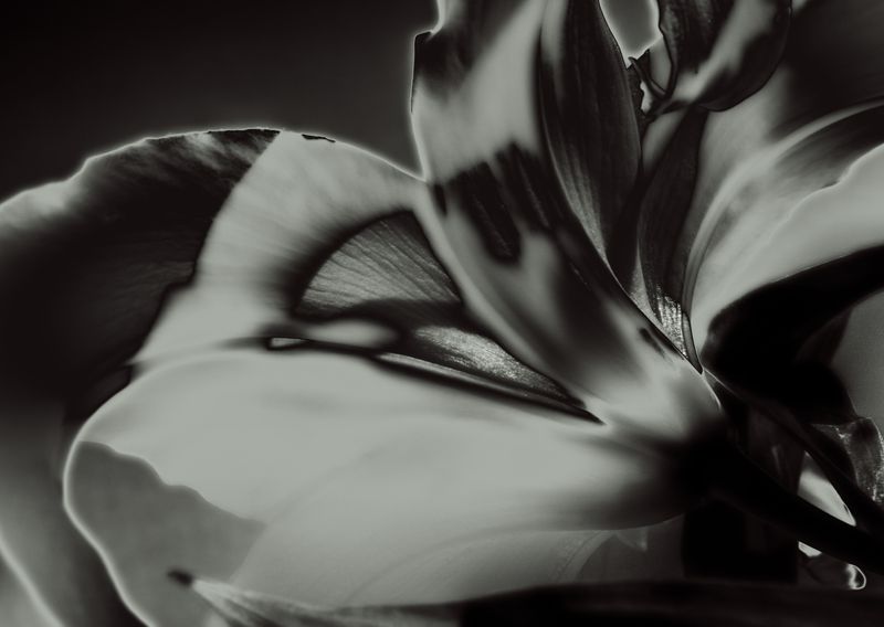 © Inseo Hwang - Image from the B in a Room photography project