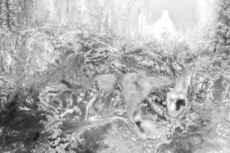 © Simon Émond - Image from the SAY MY NAME photography project