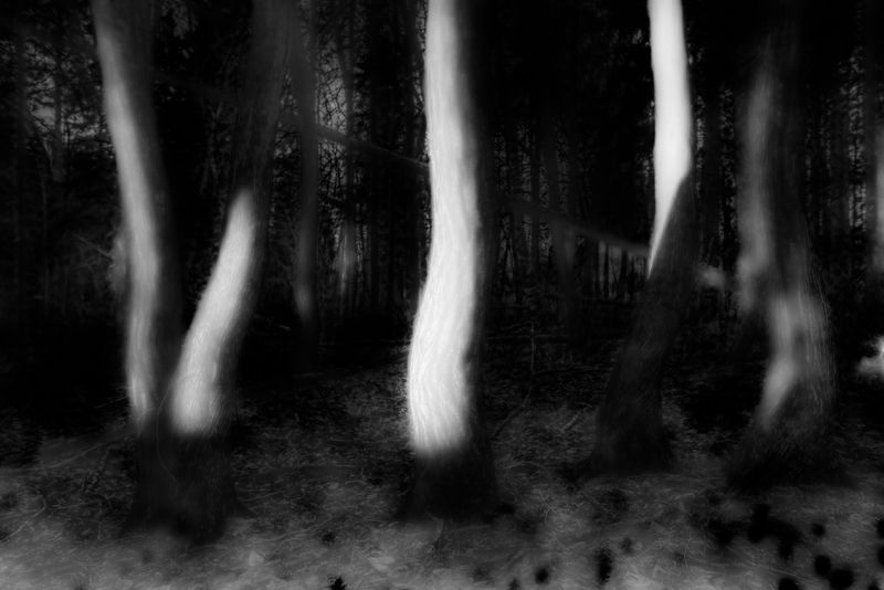 © Simon Émond - Image from the SAY MY NAME photography project