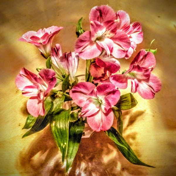 © Jürgen Joherl - Flower Still Life