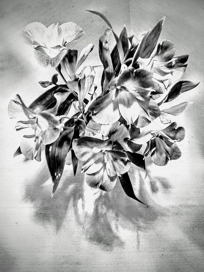 © Jürgen Joherl - Kind of a abstract flower Still Life