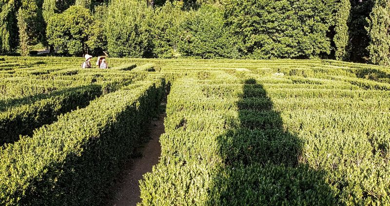 © Jürgen Joherl - The labyrinthic part of garden "Giardino Giuli" @Verona, Italy